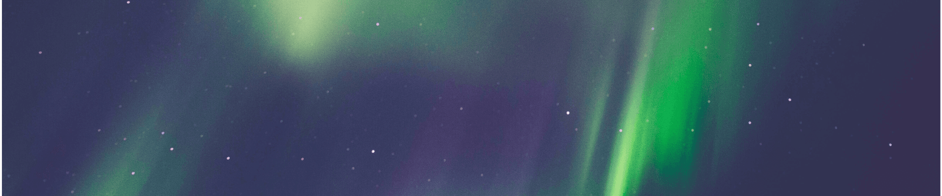 Gazior Insights